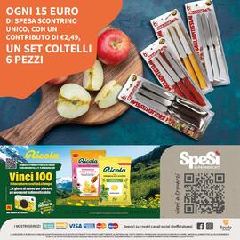 Volantino SpeSì Pagina 12