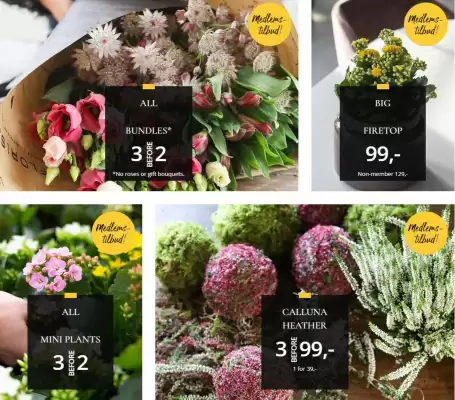 Floriss kundeavis (gyldig til 19-10)