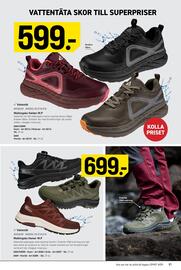 Engelsons katalog Sida 81