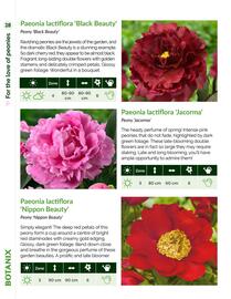 Botanix flyer week 42 Page 28