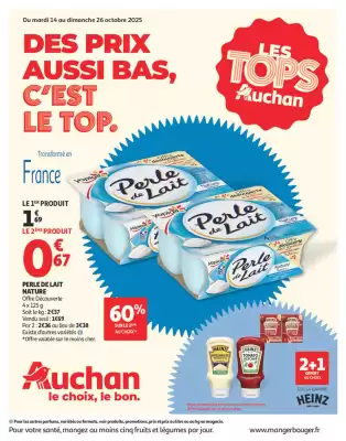 flyer-cover