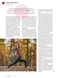 Hebe gazetka Strona 120