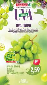 Volantino Eurospar settimana 42 Pagina 13