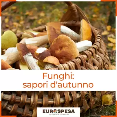 Volantino Belmarket (valido fino al 19-10)