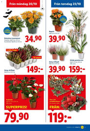 Lidl reklamblad vecka 43 Sida 19