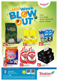 Shaklan leaflet Page 1