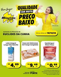 Folheto Mineirão Atacarejo semana 42 Página 5