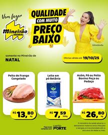Folheto Mineirão Atacarejo semana 42 Página 8