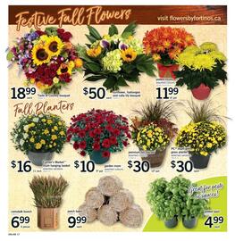 Fortinos flyer Page 16