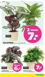 Ranzijn folder Pagina 11