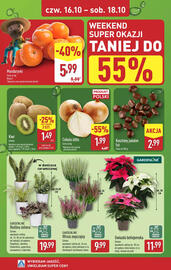 ALDI gazetka tydzień 42 Strona 6