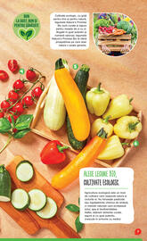 Catalog Mega Image Pagină 7