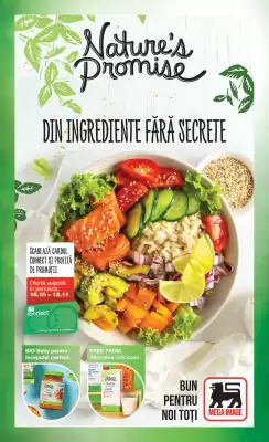 Catalog Mega Image (valid până la 7-01)