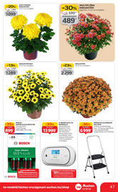 Auchan akciós újság hét 42 Oldal 47