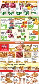Village Market Food Centers weekly ad week 42 Page 4