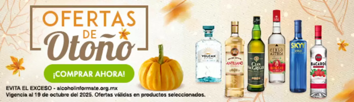 Folleto Bodegas Alianza (válido hasta 19-10)
