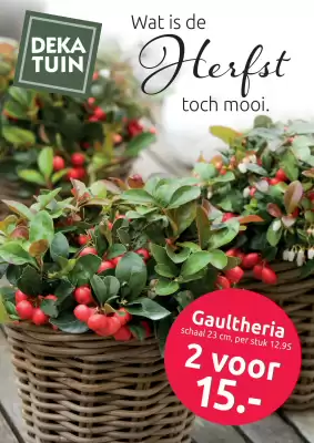 Deka Tuin folder (geldig t/m 26-10)