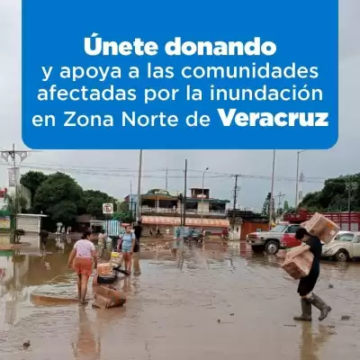 Folleto Chedraui (válido hasta 13-10)