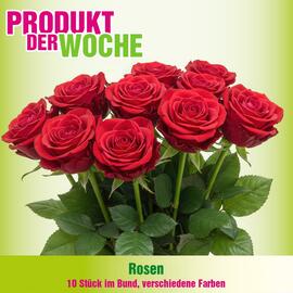 Blumen B&B Flugblatt Seite 5