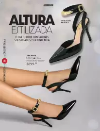 Catálogo Andrea Página 36