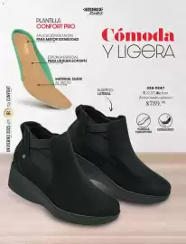 Catálogo Andrea Página 66