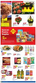 Lidl weekly ad week 42 Page 2