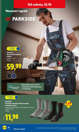 Lidl gazetka tydzień 43 Strona 46