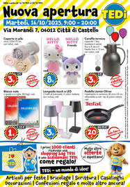 Volantino Tedi Pagina 1