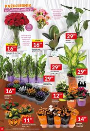 Twój Market gazetka tydzień 42 Strona 12