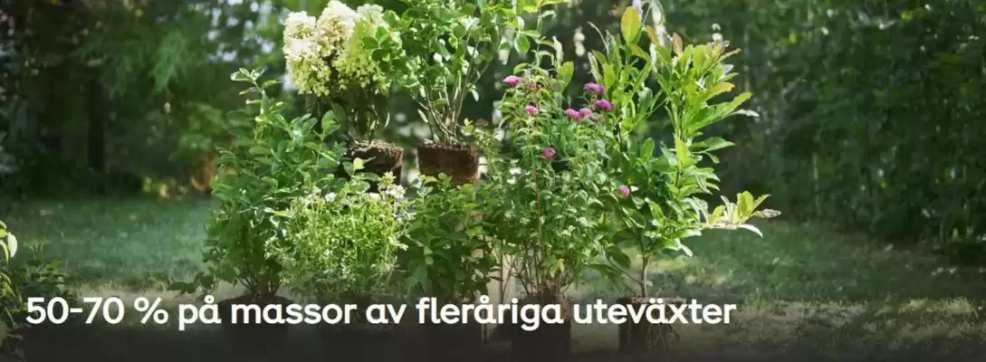 Plantagen annonsblad (giltig till och med 28-10)