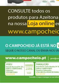 Folheto CAMPOCHEIO Página 4