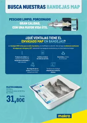 Catálogo Makro (válido hasta el 27-10)