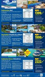 Lidl Flugblatt Seite 11