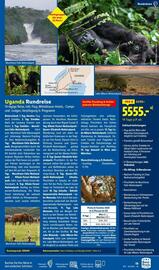 Lidl Flugblatt Seite 19