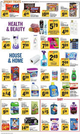 Food Lion weekly ad week 42 Page 13