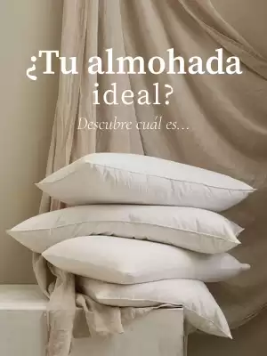 Catálogo Plumas (válido hasta 20-10)
