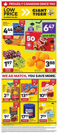 Giant Tiger flyer week 42 Page 1
