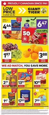 Giant Tiger flyer (valid until 21-10)