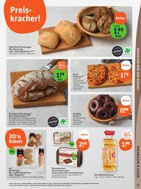 Basic Prospekt Seite 15