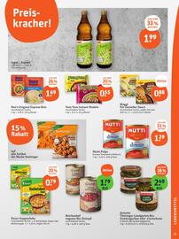 Basic Prospekt Seite 17