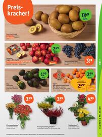 Basic Prospekt Seite 5