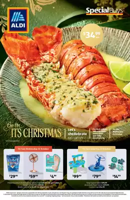 ALDI catalogue