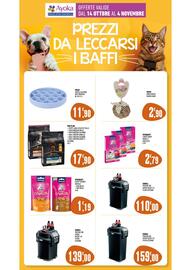Volantino Ayoka Pagina 10