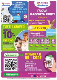 Volantino Ayoka Pagina 8