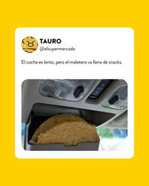 Folleto Rodi Página 3