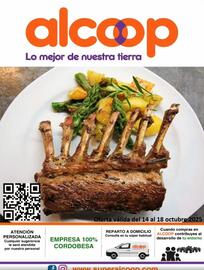 Folleto Super Alcoop Página 1
