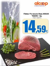 Folleto Super Alcoop Página 16
