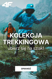 4F gazetka tydzień 42 Strona 1