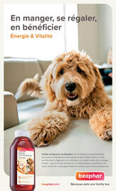 Catalogue Tom&Co page 3