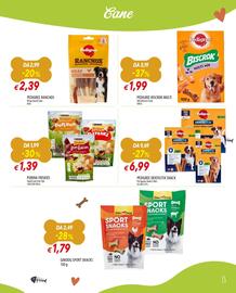 Volantino Famila Superstore Pagina 13